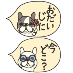 [LINEスタンプ] みんなのフレンチブルドッグ 13