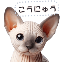 [LINEスタンプ] 無毛の猫は毛ある ☆ メッセージステッカー