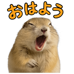 [LINEスタンプ] リチャードソンジリス1
