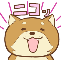 [LINEスタンプ] 柴犬ちゃんの日常 