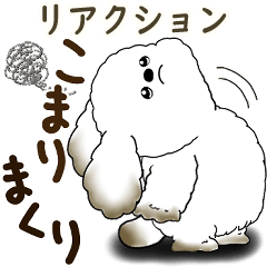 [LINEスタンプ] 犬さん 2025 「リアクション」