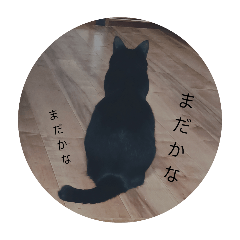 [LINEスタンプ] くろろと石山