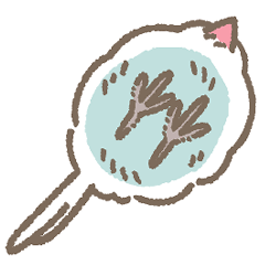 [LINEスタンプ] 文鳥さんたちの日常会話