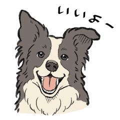 [LINEスタンプ] 賢いボーダーコリー