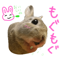 [LINEスタンプ] ぼくはうさぎ9
