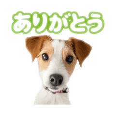 [LINEスタンプ] jacknana