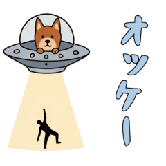 [LINEスタンプ] [オッケー専用]UFOで宇宙犬3