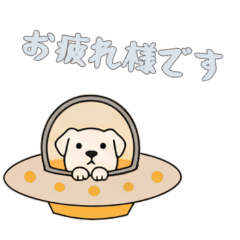 [LINEスタンプ] [お疲れ様です専用]UFOで宇宙犬2