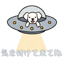 [LINEスタンプ] [気を付けて来てね専用]UFOで宇宙犬2