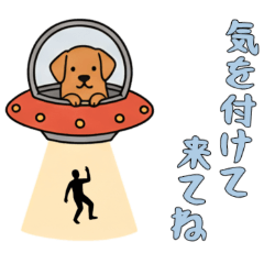 [LINEスタンプ] [気を付けて来てね専用]UFOで宇宙犬3