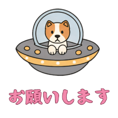 [LINEスタンプ] [お願いします専用]UFOで宇宙犬3