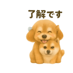 [LINEスタンプ] 柴犬とトイプードル日常会話