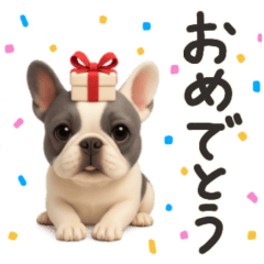 [LINEスタンプ] 毎日つかえる かわいいフレンチブルドッグ