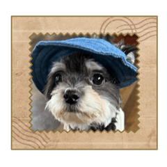 [LINEスタンプ] フジ丸店長② fetchpriority=high