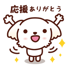 [LINEスタンプ] マルチーズ_モモの応援スタンプ