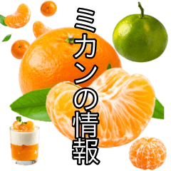 [LINEスタンプ] ビッグ！みかんの情報 