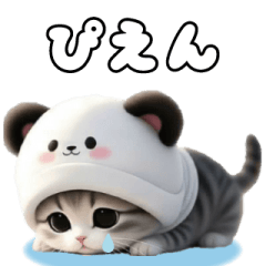 [LINEスタンプ] 飛び出す パンダ帽が可愛い猫 ずっと使える