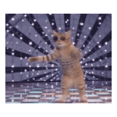 [LINEスタンプ] 踊る！ダンサーキャット！