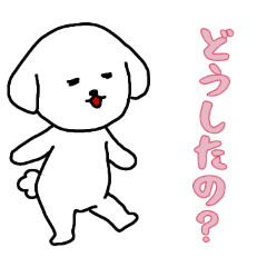 [LINEスタンプ] ビションフリーゼの男の子（日常）
