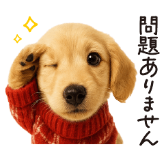 [LINEスタンプ] ずっと使える♪ダックスの日常フレーズ