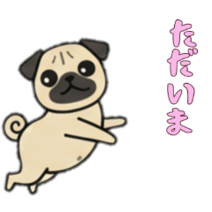 [LINEスタンプ] パグパグの日常