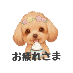 [LINEスタンプ] トイプードル(リアルタッチ、アプリコット)