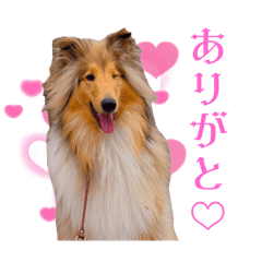 [LINEスタンプ] Lumiの日常スタンプ