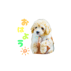 [LINEスタンプ] ツナくんのスタンプです