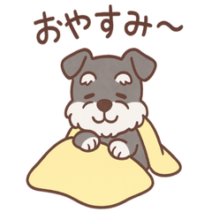 [LINEスタンプ] ミニシュナのほっこり日常