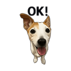 [LINEスタンプ] JACK4_77