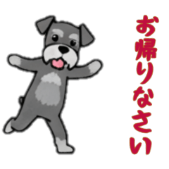 [LINEスタンプ] [お帰りなさい専用]シュナウザー