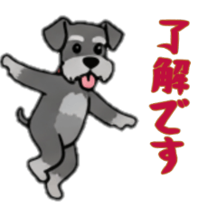 [LINEスタンプ] [了解です専用]シュナウザー