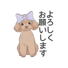[LINEスタンプ] トイプードル ブラウン（使いやすい敬語）