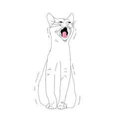 [LINEスタンプ] 日常の猫ねこネコ