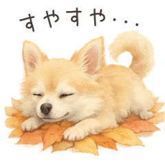 [LINEスタンプ] うちの子スタンプ：秋Ver.（チワワ）