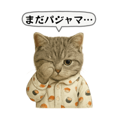 [LINEスタンプ] ネコしてます:いつものやつ 5