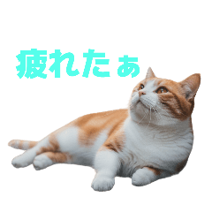 [LINEスタンプ] マンチカン J