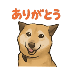 [LINEスタンプ] 愛するゴン太くん