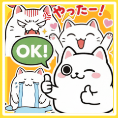 [LINEスタンプ] 白にゃんこ喜怒哀楽