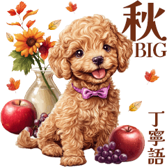 [LINEスタンプ] 秋！丁寧語・敬語トイプーBIGスタンプ