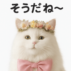 [LINEスタンプ] ピンクのリボンの子猫ちゃん
