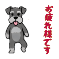 [LINEスタンプ] [お疲れ様です専用]シュナウザー