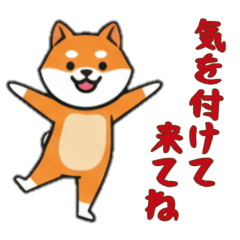 [LINEスタンプ] [気を付けて来てね専用]シバ犬