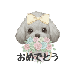 [LINEスタンプ] トイプードル(リアルタッチ、グレー)