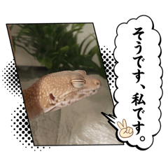 [LINEスタンプ] 我が家のアニマルと夢愛スタンプ