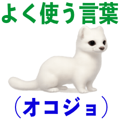 [LINEスタンプ] よく使う言葉（オコジョ編）