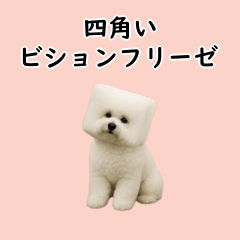 [LINEスタンプ] 四角い頭のビションフリーゼ