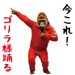 [LINEスタンプ] ゴリラ様踊る！
