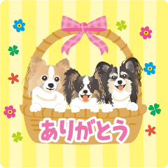 [LINEスタンプ] 動く♪マリン♡シエル♡ルナ2