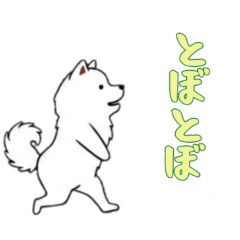 [LINEスタンプ] サモエドと一緒の日常